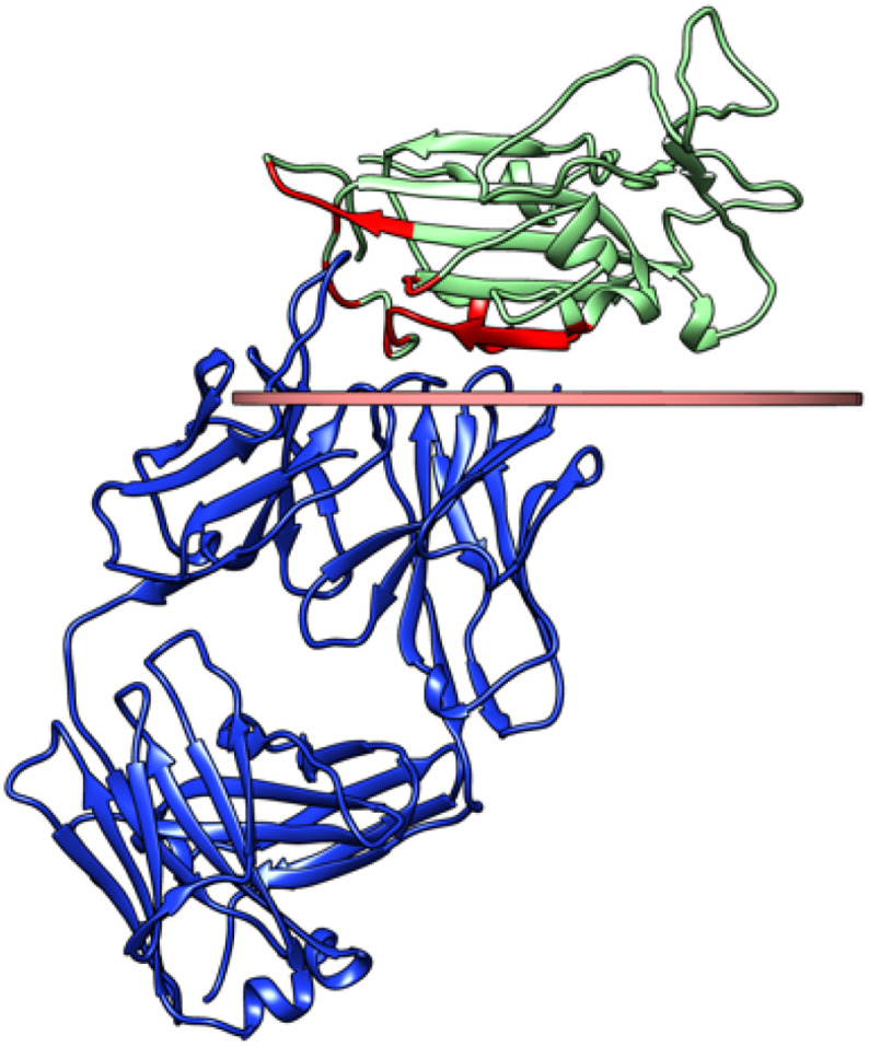 Fig. 2