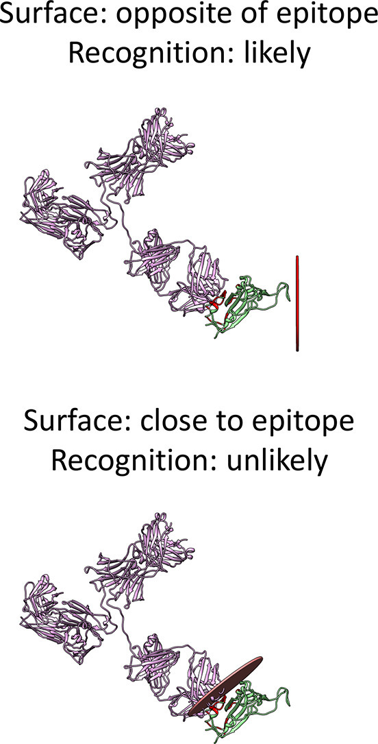 Unlabelled Image