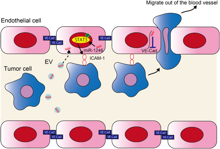 Figure 5