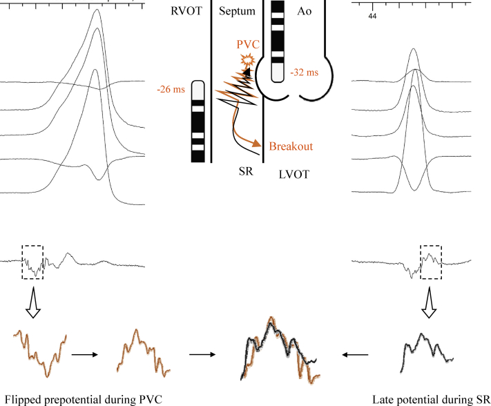 Figure 3