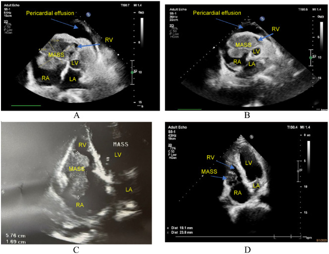 Figure 1.