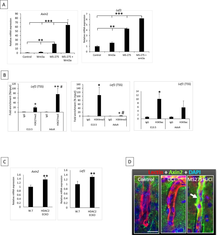 Figure 5—figure supplement 1.