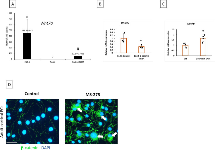 Figure 7—figure supplement 1.