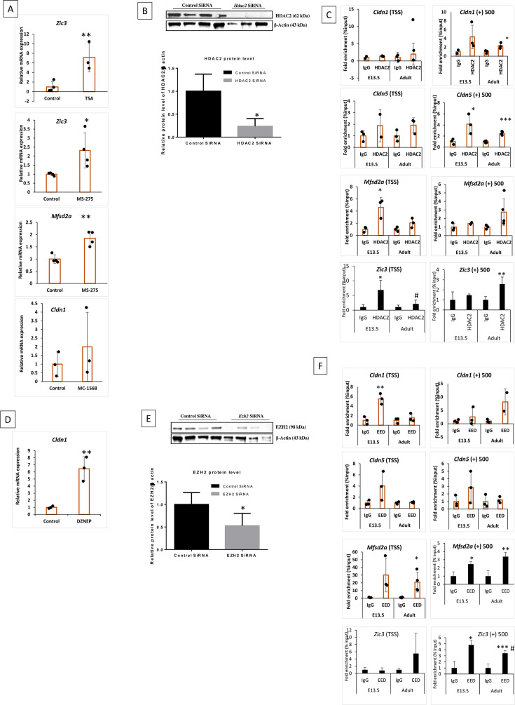 Figure 2—figure supplement 1.