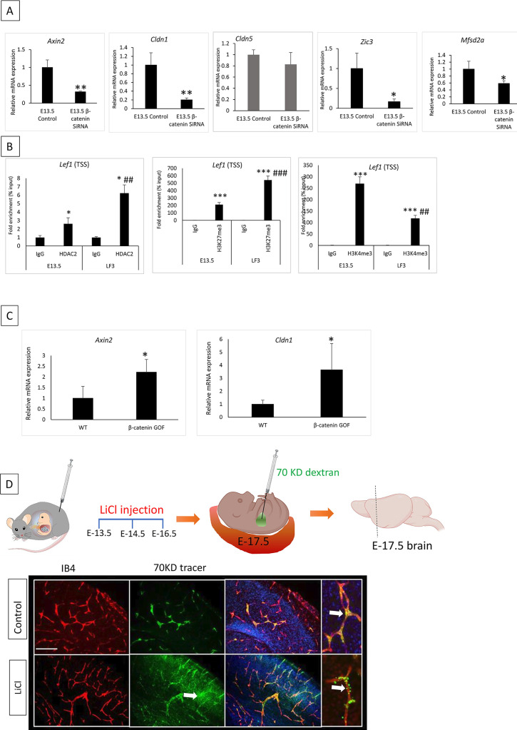 Figure 6—figure supplement 1.