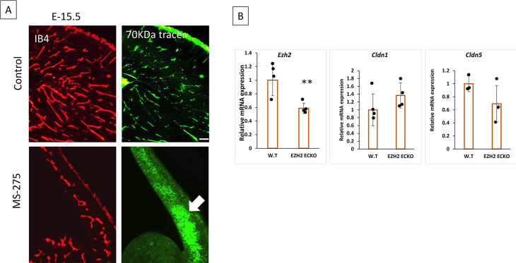 Figure 4—figure supplement 1.