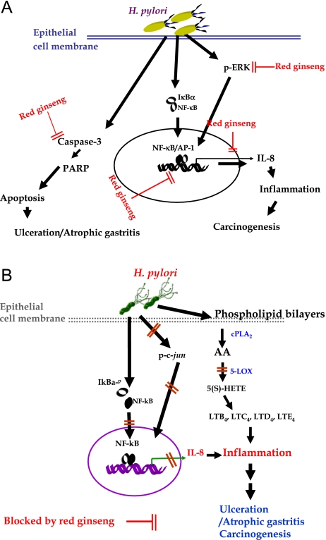 Fig. 2