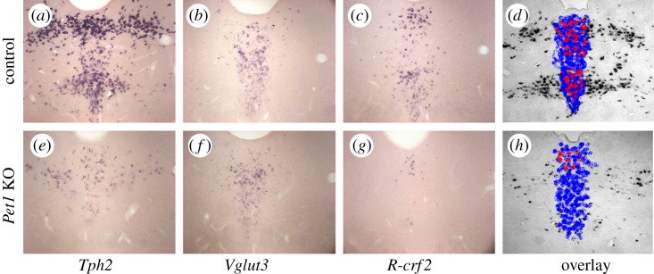 Figure 3.