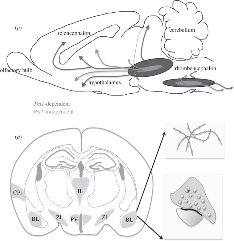 Figure 4.