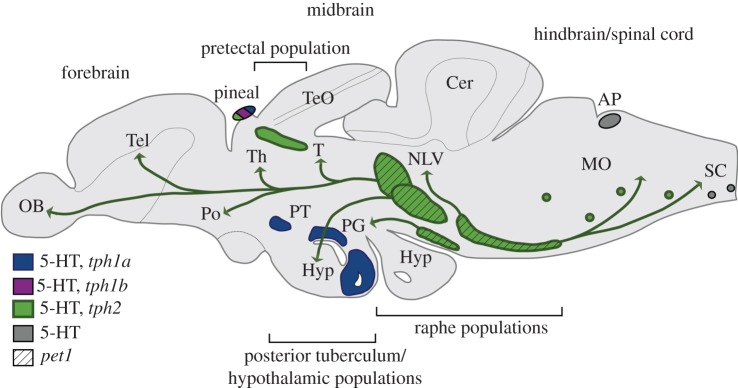 Figure 2.