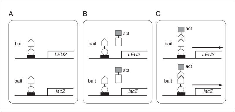 Figure 17.3.1