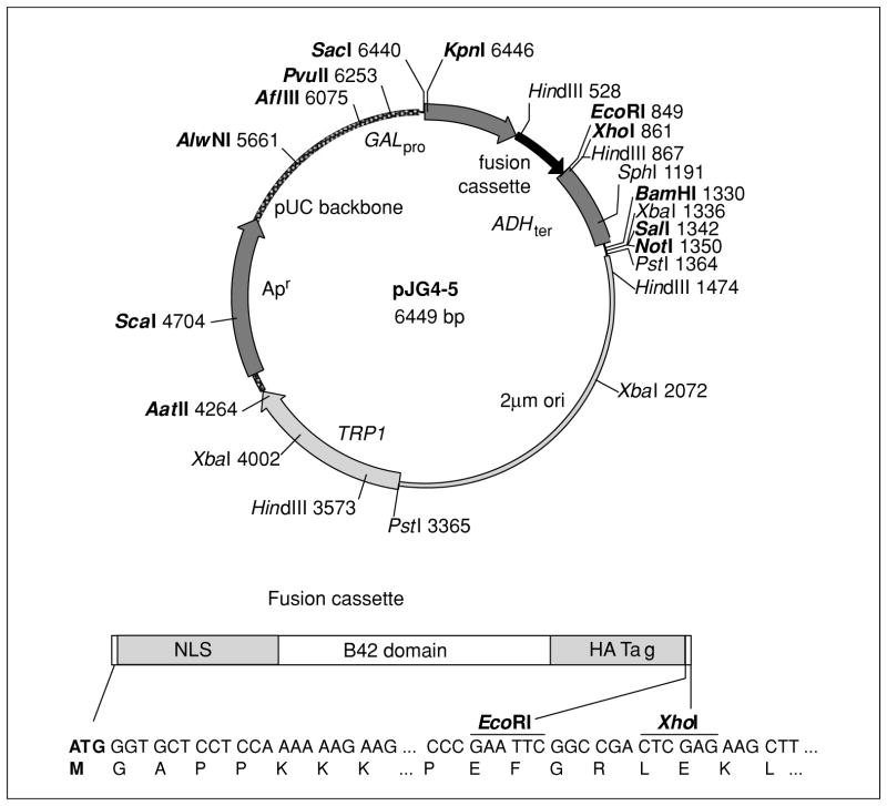 Figure 17.3.6