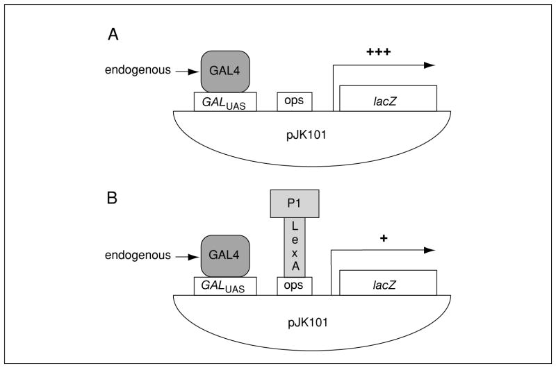 Figure 17.3.5