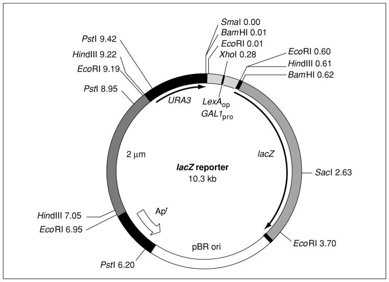 Figure 17.3.4