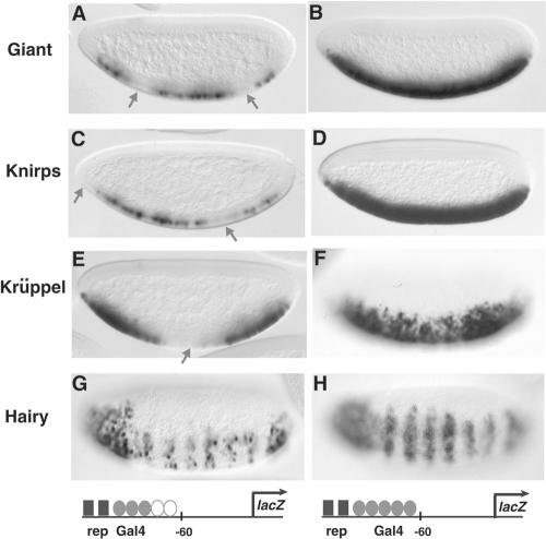 FIG. 7.