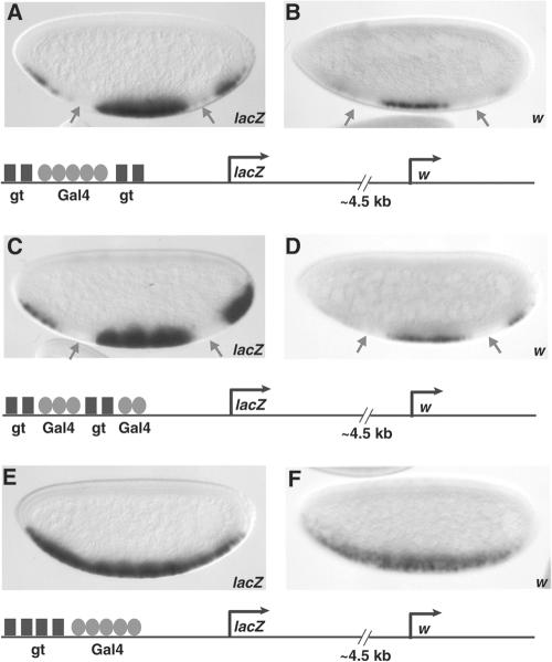 FIG. 5.