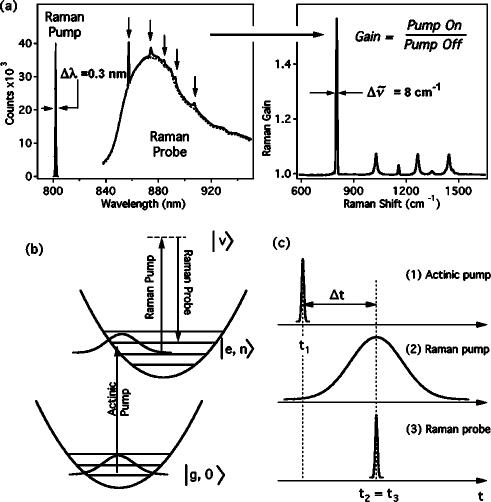 FIG. 1.