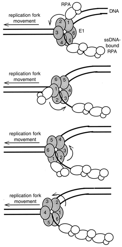 FIG. 7.