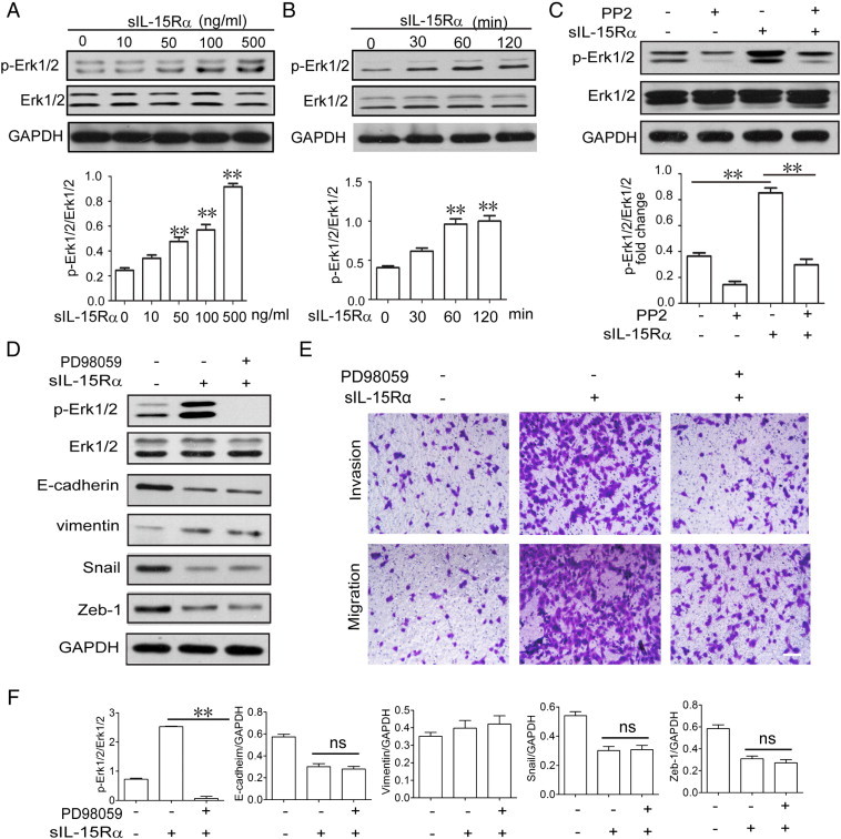 Figure 6