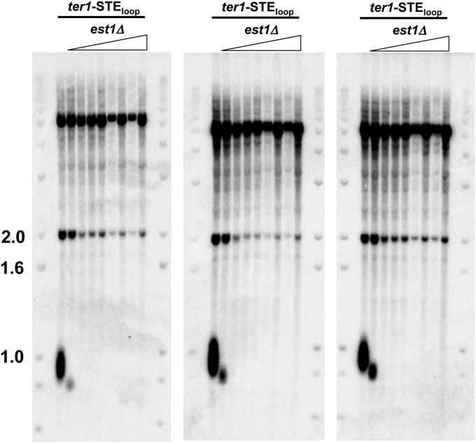 Fig. S6.