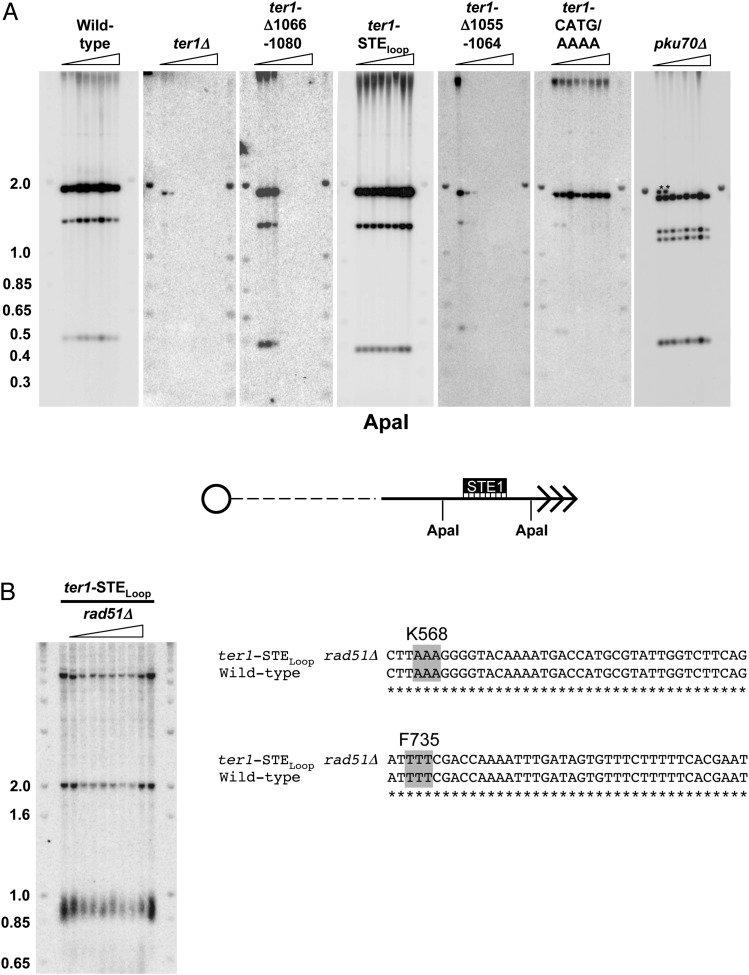 Fig. S5.