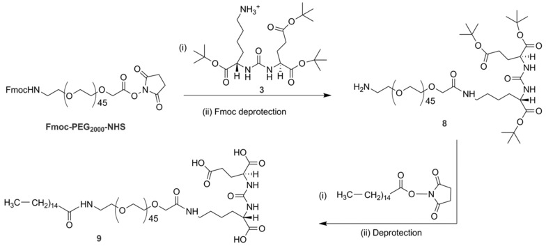 Scheme 3