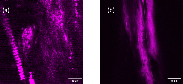 Fig. 10.