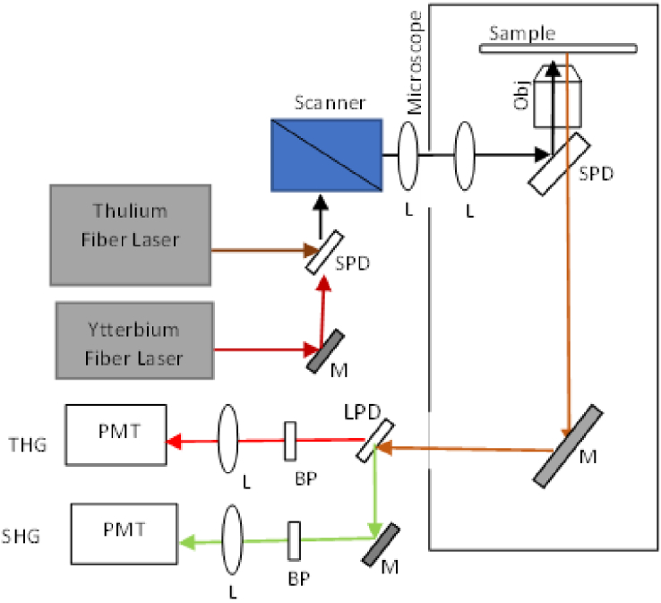 Fig. 7.