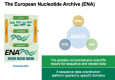 Graphical Abstract