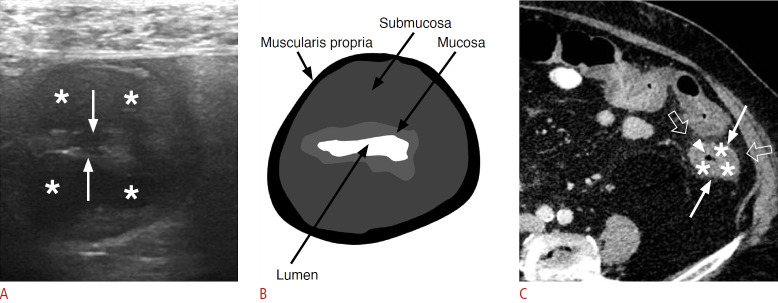 Fig. 9.