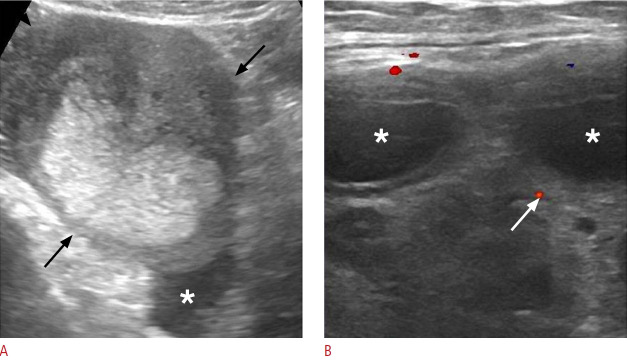 Fig. 20.