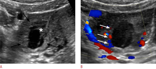 Fig. 21.