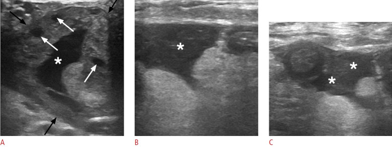 Fig. 18.