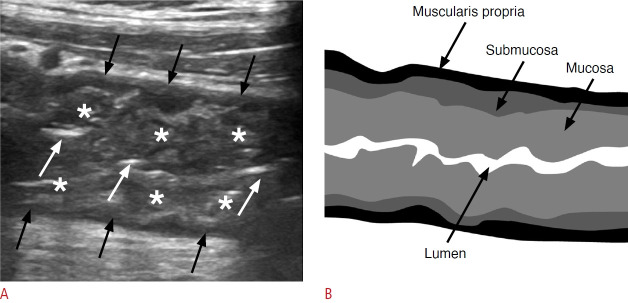 Fig. 8.