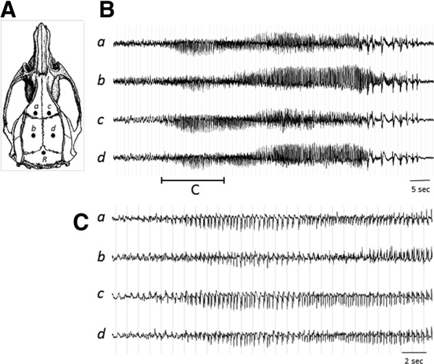 FIG. 1.