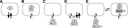 FIG. 8.