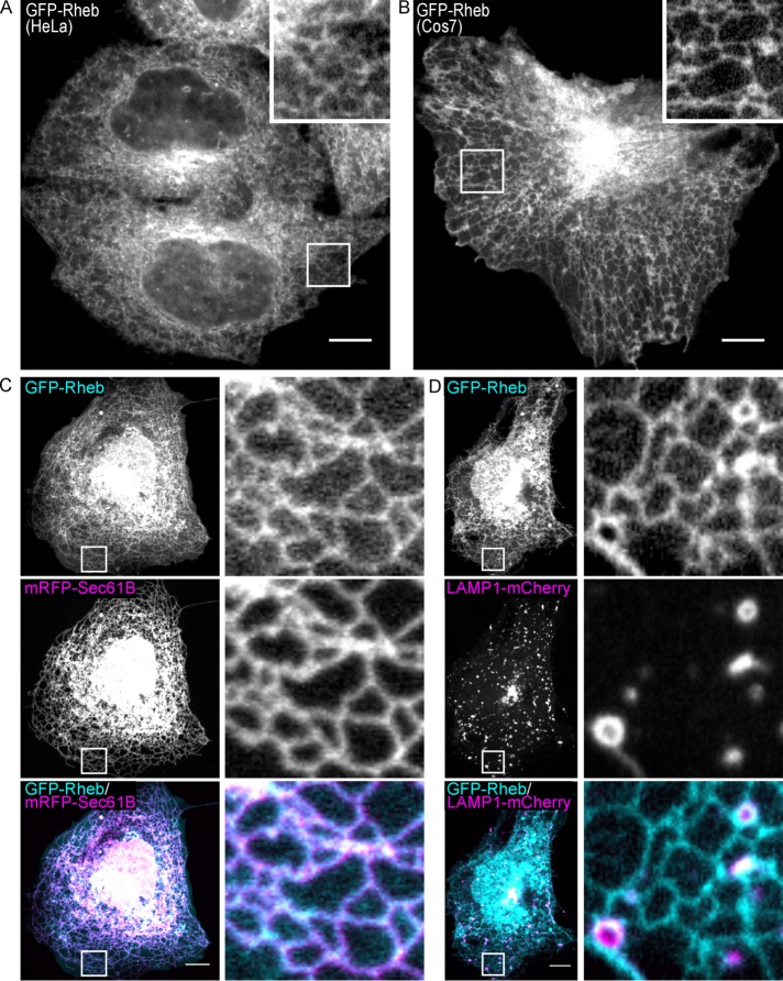 FIGURE 3: