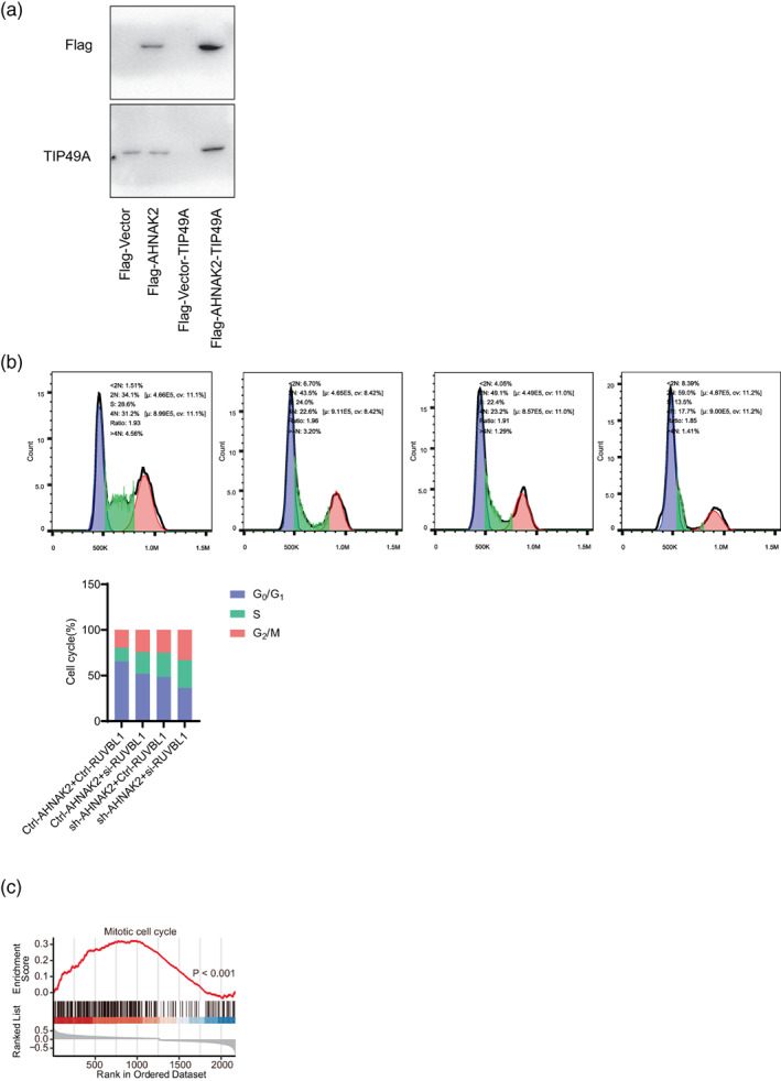 FIGURE 4