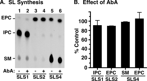 FIGURE 6.