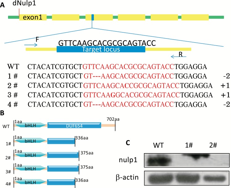 Fig. (3)