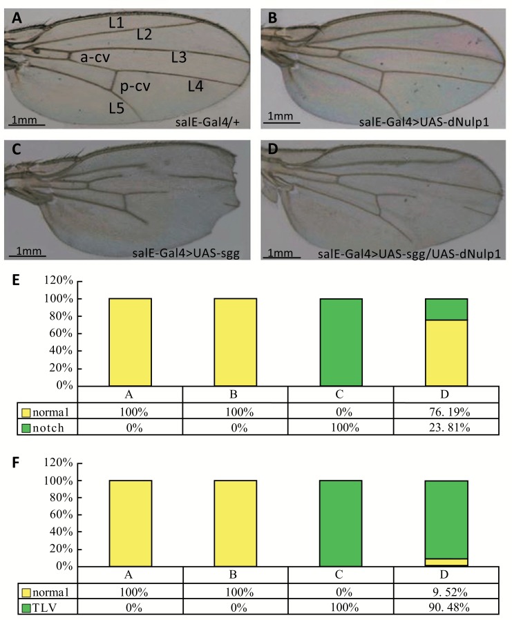 Fig. (1)