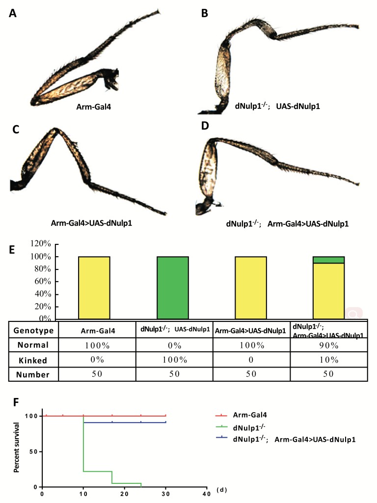 Fig. (5)