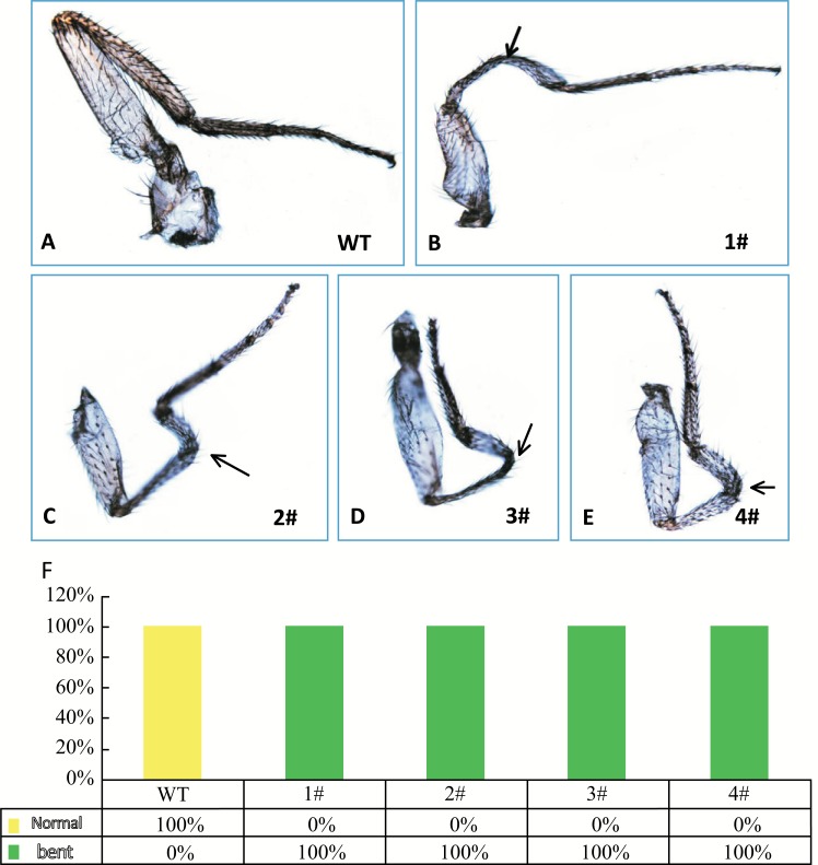 Fig. (4)