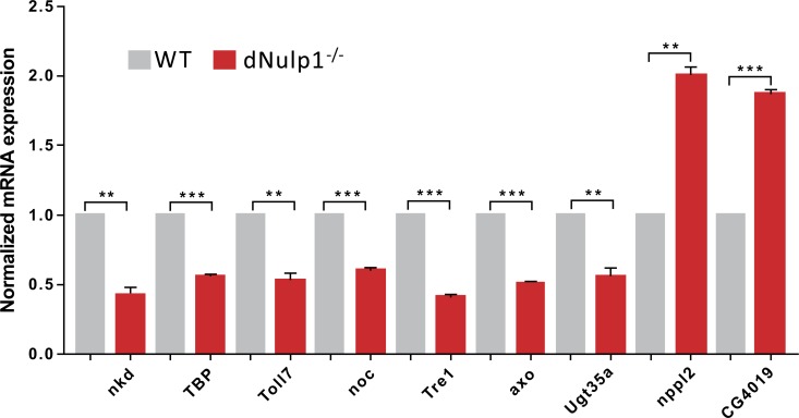 Fig. (6)