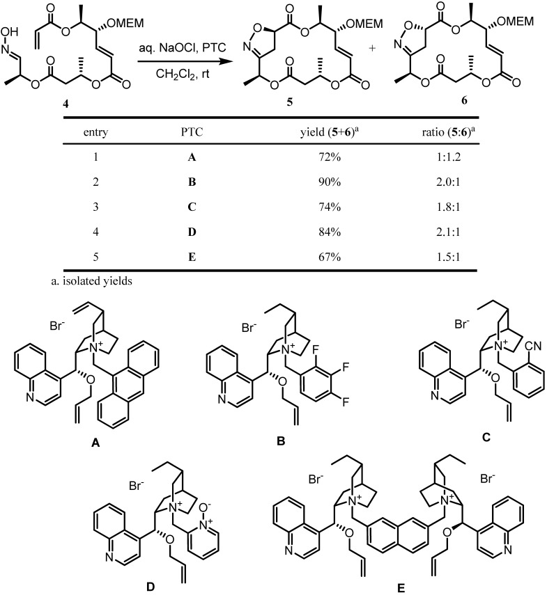 Scheme 5