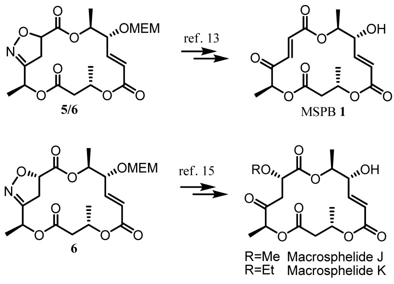 Scheme 6