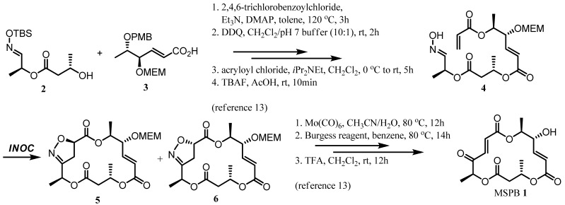 Scheme 3