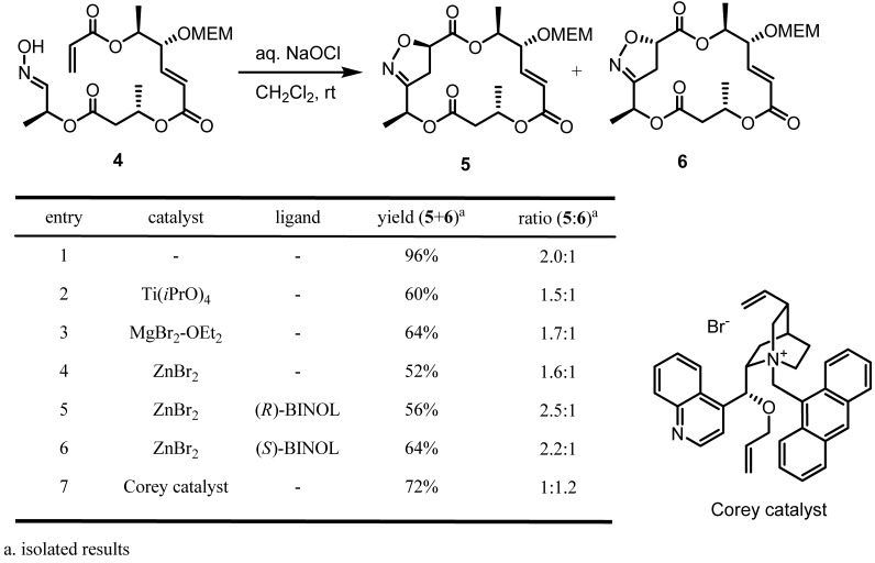 Scheme 4