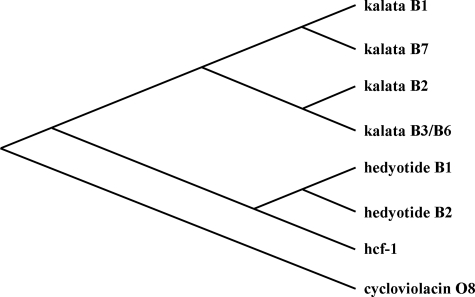 FIGURE 4.