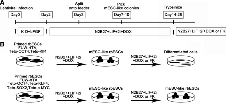 FIG. 2.